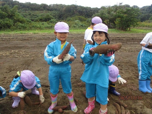 年長さんお芋ほりに出かけました。